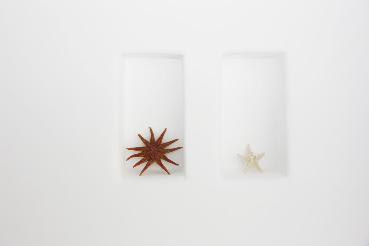 Supreme Villa Helios 칼라파티스 외부 사진